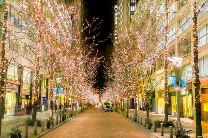 Holiday Lights Walk Tour Hibiya Midtown Tokyo Station Marunouchi — photo 4