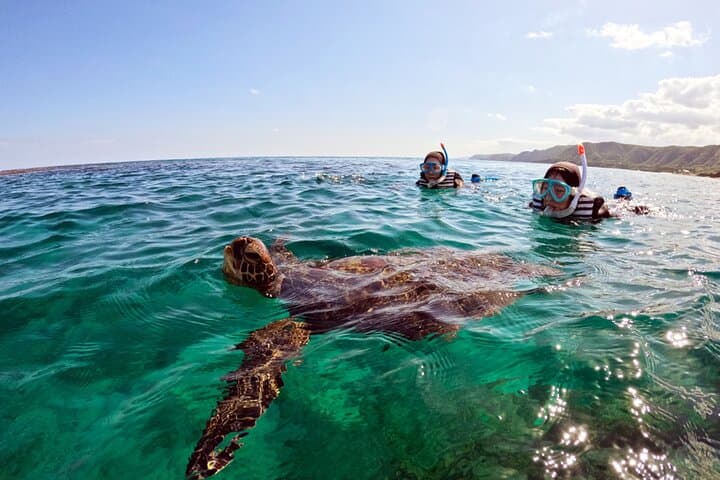 Snorkeling with sea turtles — photo 2