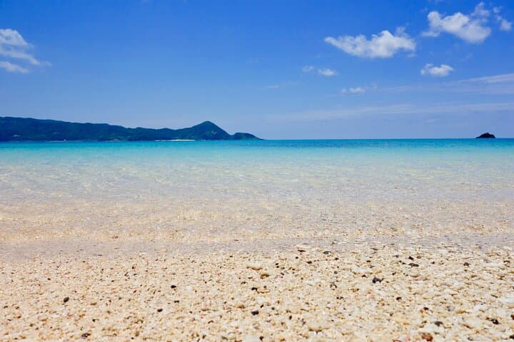 Snorkeling with sea turtles — photo 6