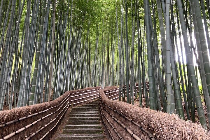 Private Kyoto with Exceptional Guide Tailored to Your Needs — photo 3