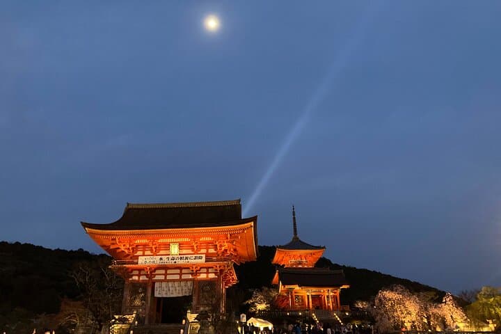 Private Kyoto with Exceptional Guide Tailored to Your Needs — photo 8
