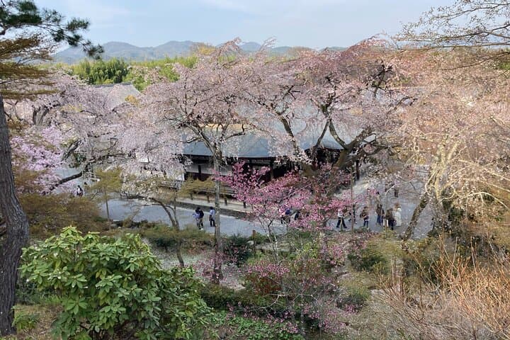 Private Kyoto with Exceptional Guide Tailored to Your Needs — photo 13