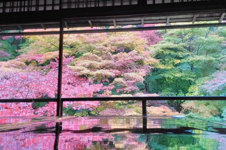 Private Kyoto with Exceptional Guide Tailored to Your Needs — photo 6