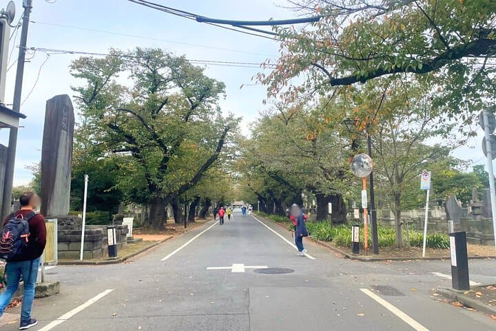 Tokyo: Private tour of Beckoning Cat Painting at Yanaka — photo 3