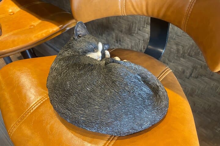 Tokyo: Private tour of Beckoning Cat Painting at Yanaka — photo 9