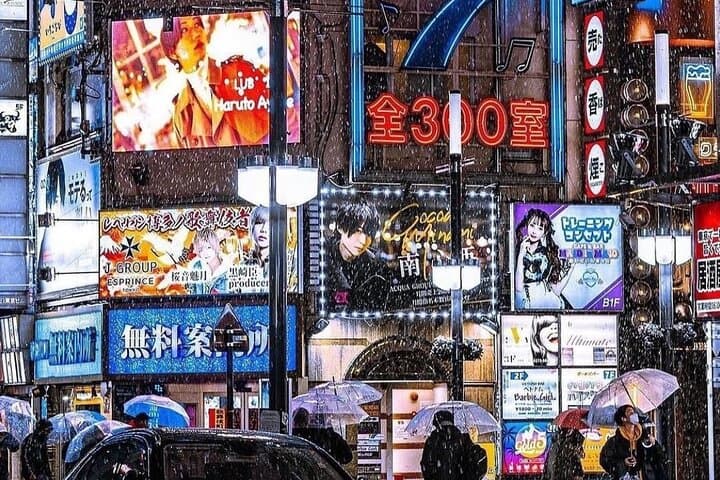 Best of Tokyo Private Tour English Driver &Customizable Itinerary — photo 3