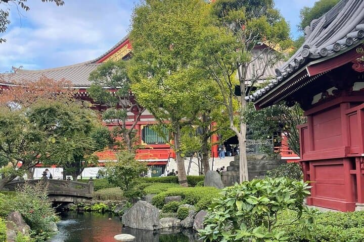 Best of Tokyo Private Tour English Driver &Customizable Itinerary — photo 13