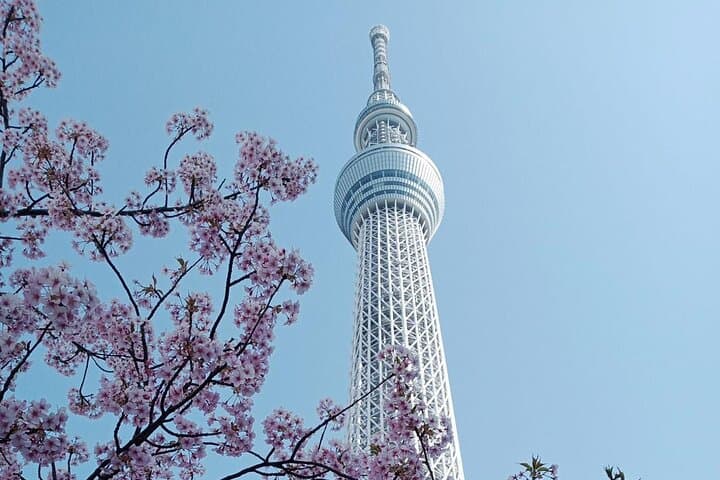 Best of Tokyo Private Tour English Driver &Customizable Itinerary — photo 10