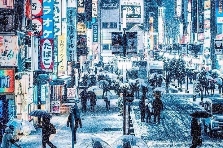 Best of Tokyo Private Tour English Driver &Customizable Itinerary — photo 12