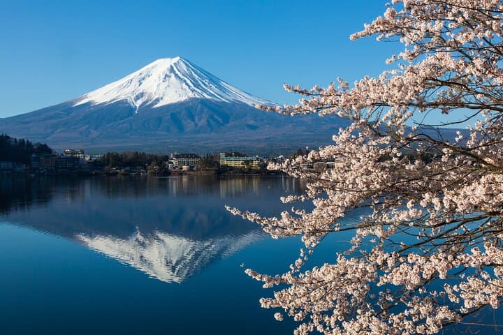 Lake Kawaguchi ⇔ Tokyo Bus Tickets — photo 3