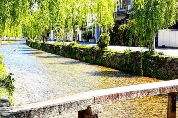 Beyond the Crowds: Scenic Kyoto E-bike Loop with Young Pro Guides — photo 13