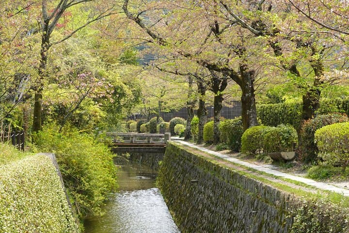 Beyond the Crowds: Scenic Kyoto E-bike Loop with Young Pro Guides — photo 14