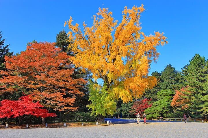 Beyond the Crowds: Scenic Kyoto E-bike Loop with Young Pro Guides — photo 19