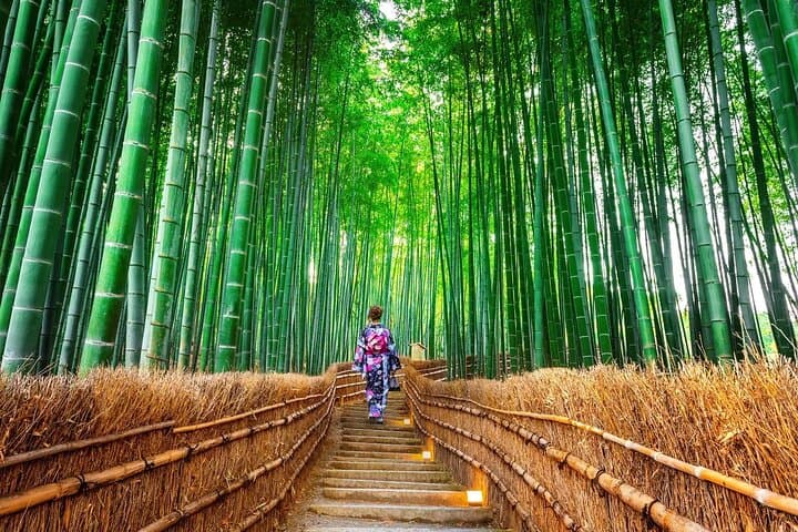 Arashiyama Autumn Leaves & Sanzen-in Temple Tour from Osaka/kyoto — photo 1