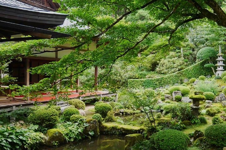 Arashiyama Autumn Leaves & Sanzen-in Temple Tour from Osaka/kyoto — photo 7