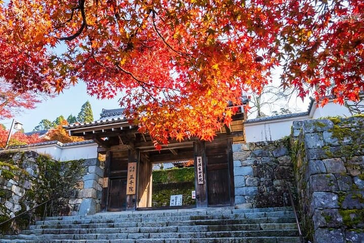 Arashiyama Autumn Leaves & Sanzen-in Temple Tour from Osaka/kyoto — photo 2
