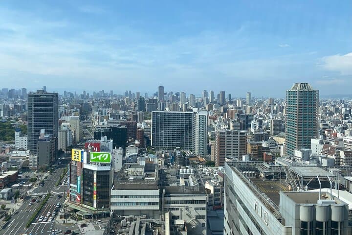 Allure of Osaka Walking Day Tour with a local guide — photo 4