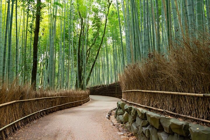 8 hours Arashiyama Monkey Park Ryoanji and Kinkaku ji Tour — photo 3