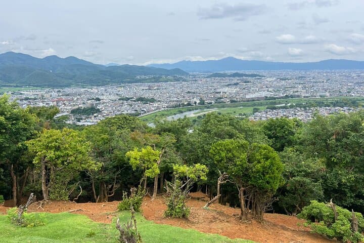 8 hours Arashiyama Monkey Park Ryoanji and Kinkaku ji Tour — photo 12