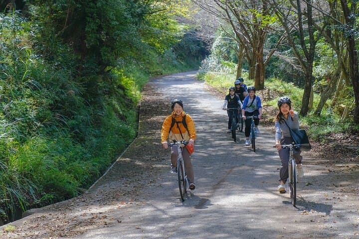 Fukuoka Bike Tour Explore Buzen Hidden Gems — photo 3