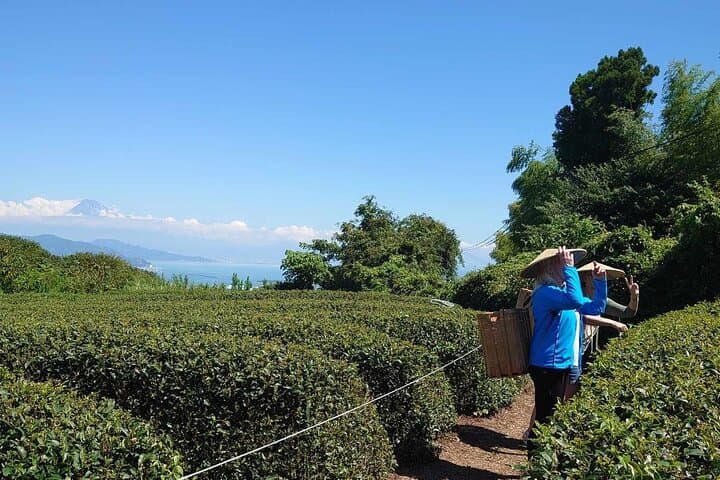 Private Shizuoka Tour from Shizuoka Station / Van Taxi — photo 11