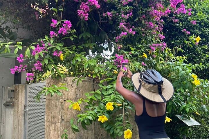 E-Bike Nature Tour in Shuri【Free cancellation] — photo 5