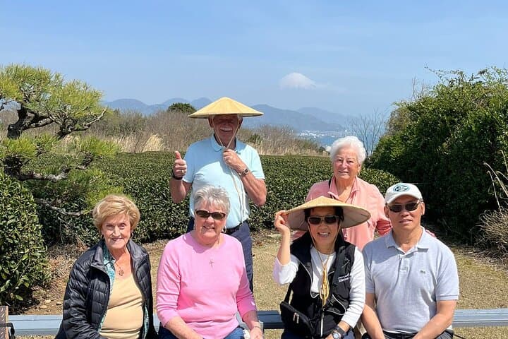 Private Shizuoka Tour from Shizuoka Station / Van Taxi — photo 10