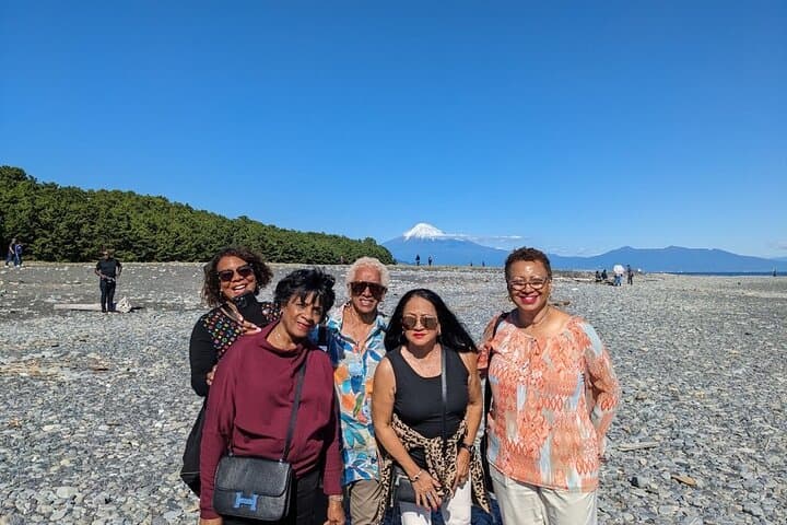 Private Shizuoka Tour from Shizuoka Station / Van Taxi — photo 14