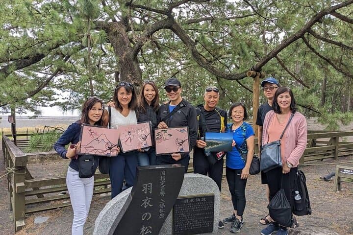 Private Shizuoka Tour from Shizuoka Station / Van Taxi — photo 15