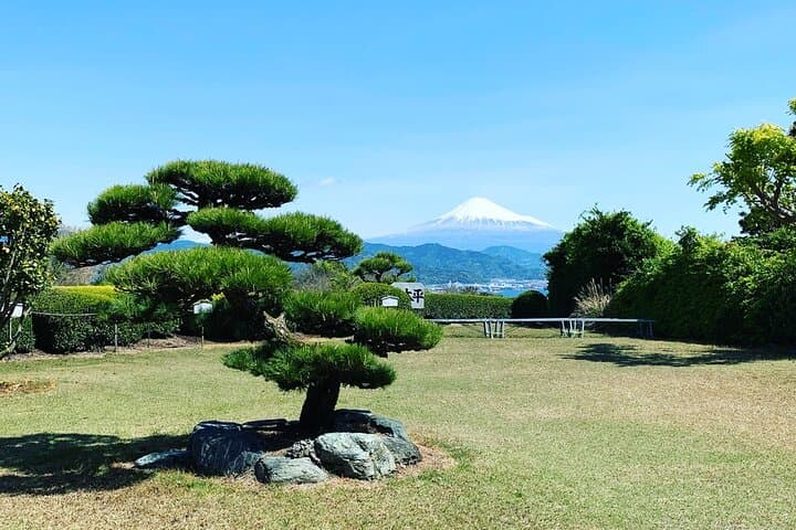 Private Shizuoka Tour from Shizuoka Station / Van Taxi — photo 12