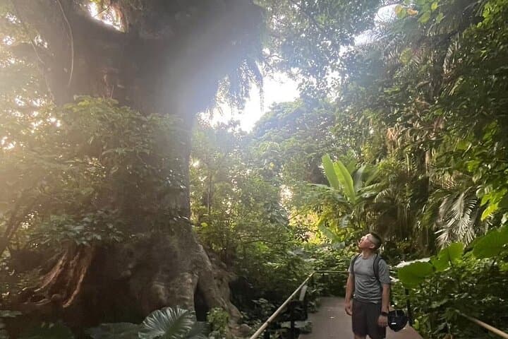 E-Bike Nature Tour in Shuri【Free cancellation] — photo 3