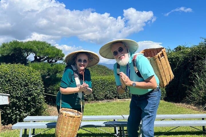 Private Shizuoka Tour from Shizuoka Station / Sedan Taxi — photo 7