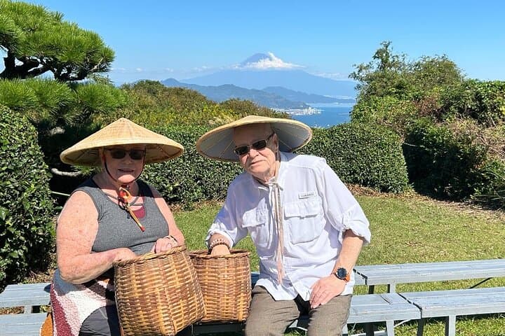 Private Shizuoka Tour from Shizuoka Station / Sedan Taxi — photo 5