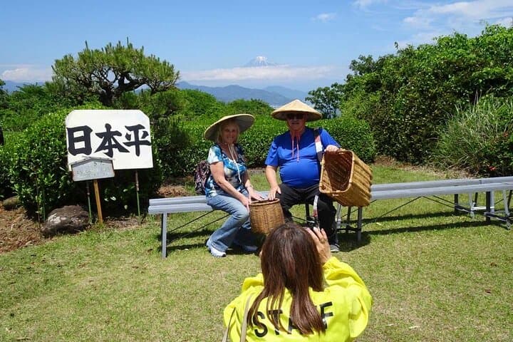 Private Shizuoka Tour from Shizuoka Station / Sedan Taxi — photo 6