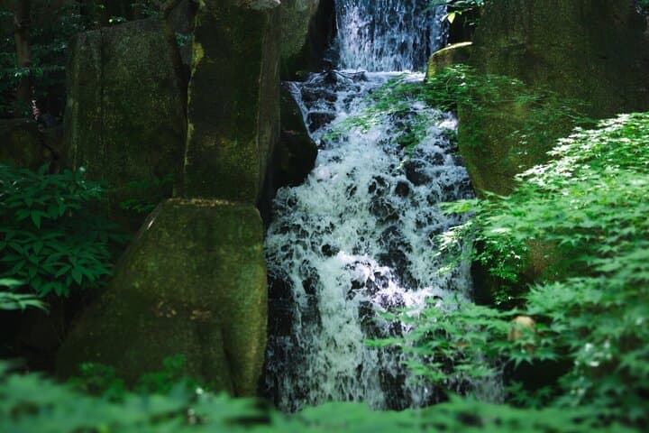 Guided Garden Walk: Nagoya Castle, Gardens & Historic Estate — photo 9