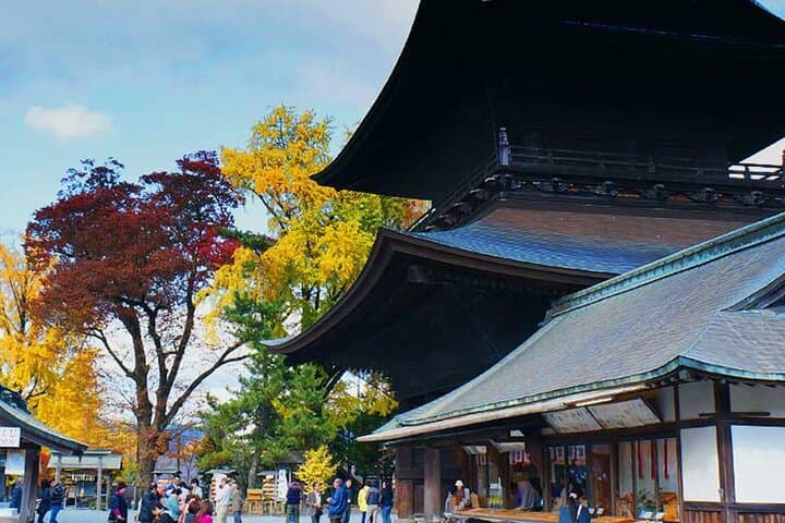 Kyushu: Aso Vocano, Grassland,Onsen and Aso shrine 1-Day Tour — photo 11