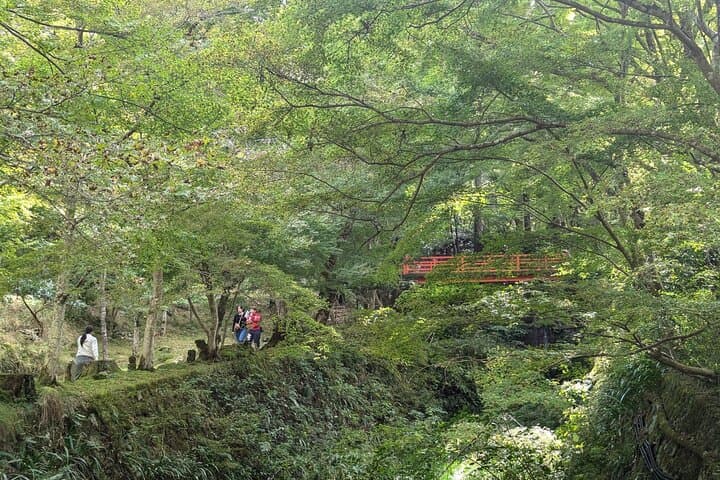 Rural Kyoto One Day Tour of a Tranquil Landscape in Ohara — photo 4