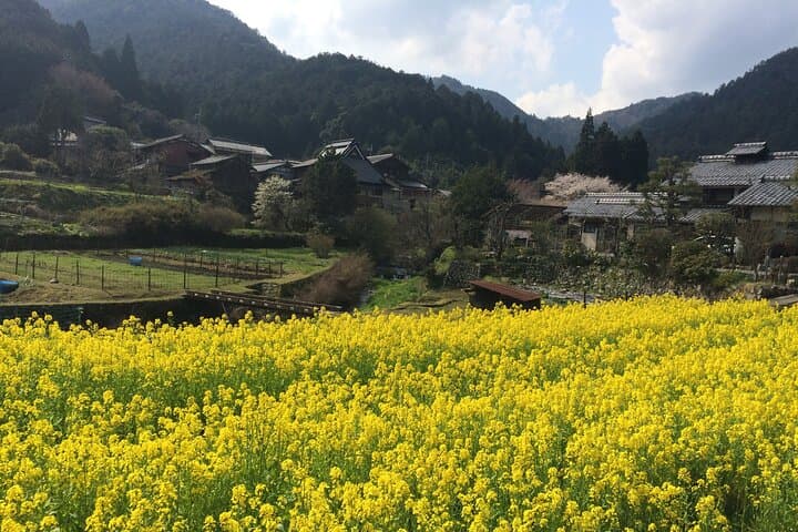 Private Kyoto with Exceptional Guide Tailored to Your Needs — photo 20