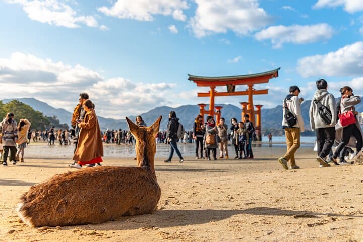 Hiroshima and Miyajima Full-Day Tour from Kyoto by Bullet Train — photo 2