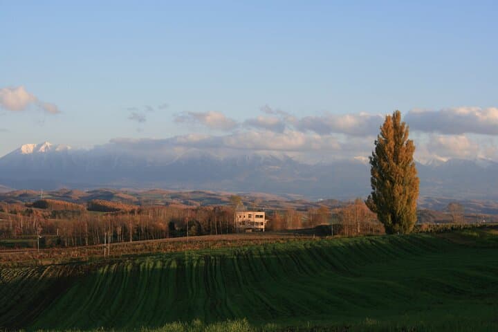 [Biei/Furano] One-day sightseeing by private car! — photo 9