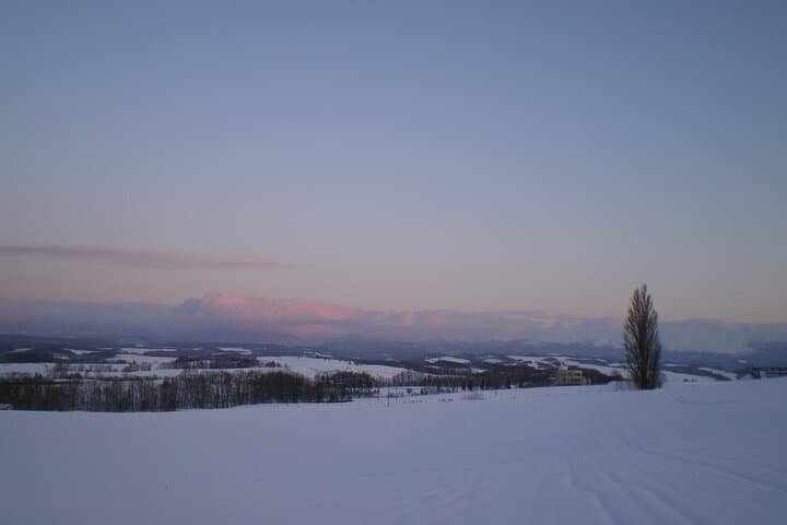 [Biei/Furano] One-day sightseeing by private car! — photo 15
