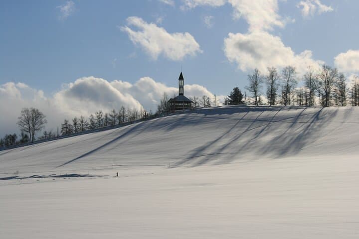 [Biei/Furano] One-day sightseeing by private car! — photo 13