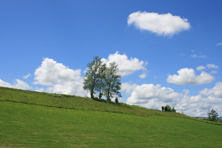[Biei/Furano] One-day sightseeing by private car! — photo 6