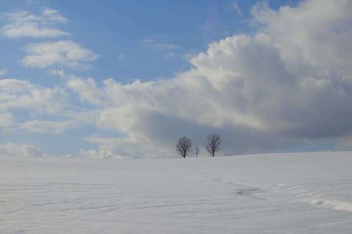 [Biei/Furano] One-day sightseeing by private car! — photo 14