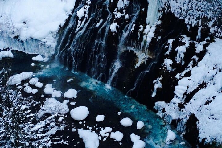 [Biei/Furano] One-day sightseeing by private car! — photo 16
