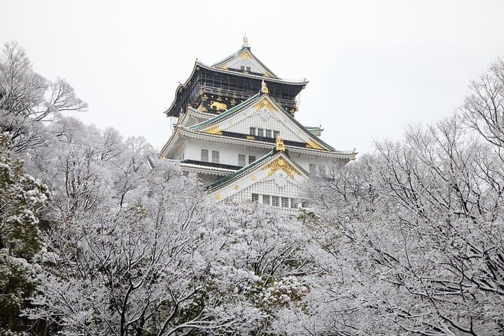 Private Day Tour in Osaka and Kyoto with charter car — photo 12