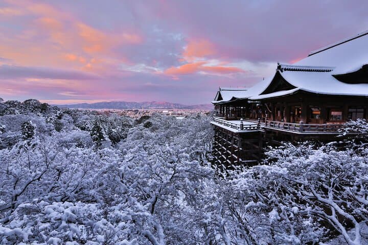 Private Day Tour in Osaka and Kyoto with charter car — photo 14