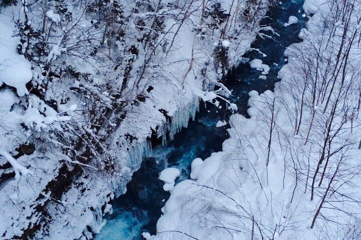 [Biei/Furano] One-day sightseeing by private car! — photo 17