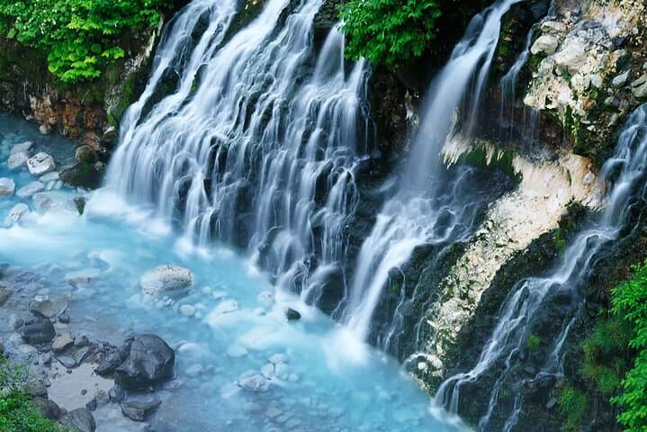 Asahiyama Zoo, Blue Pond, Shirahige Falls/Ningle Terrace Day Tour — photo 4