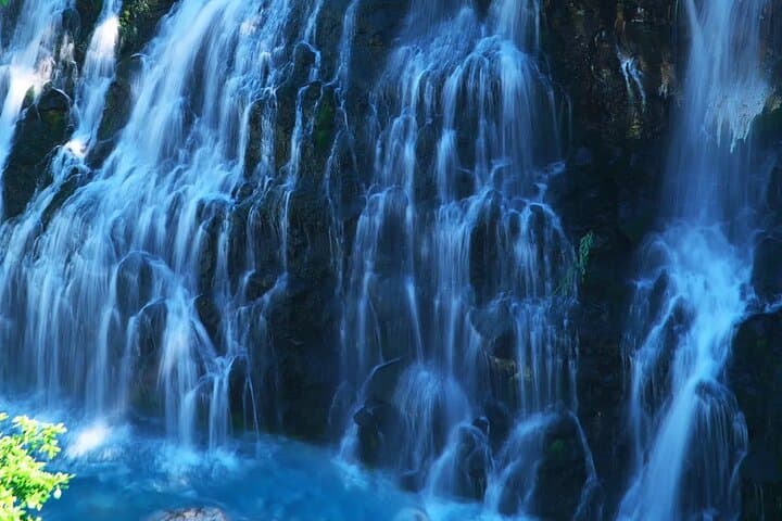 Asahiyama Zoo, Blue Pond, Shirahige Falls/Ningle Terrace Day Tour — photo 5